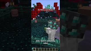Cool Custom Mobs on the Hermitcraft Server