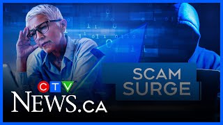 First at Five: Scam Alert