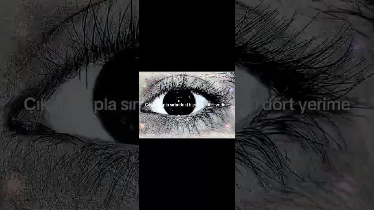 #keşfet #edit #erosiçinadalet #rap #swirf #killoki #deha #perrosblancos