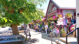 WATERTON Village Walking Tour 4K🇨🇦 Canada Travel