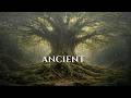 Relaxing Celtic Ambient Music 🍃 Ancient Tree | Deep Focus &amp; Calm (3 Hours)