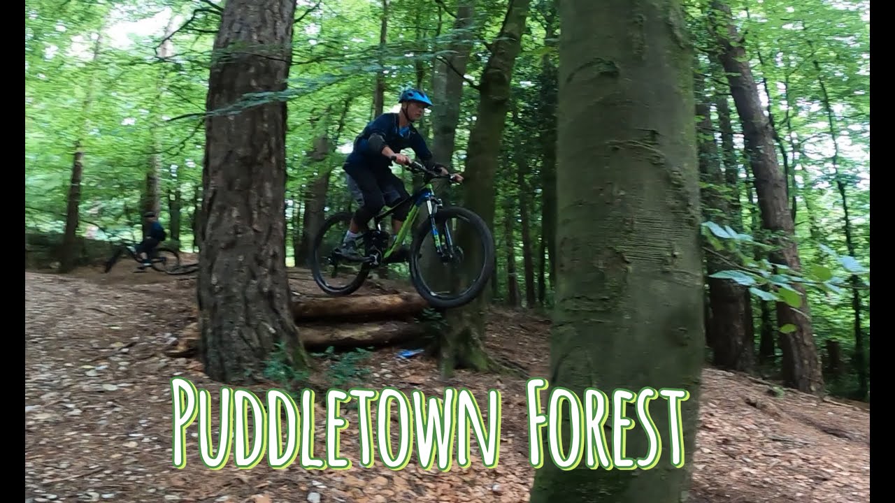 Puddletown Forest MTB Trails