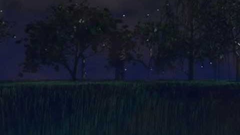 fireflies by chris Tharp