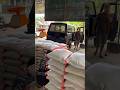 Belanja di penarik #viralvideo #fypshort #minivlog #shot