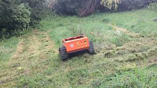 Positive reviews from Vigorun remote control lawn mower customer, feedback video of Vigorun RC mower