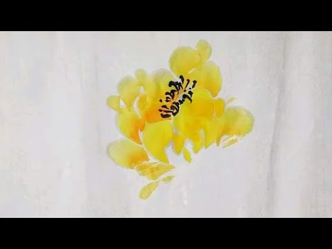 5.4.17不同黄牡丹画法，牡丹设色画法，牡丹，国画快速入门