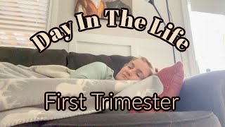 *NEW* DAY IN THE LIFE OF A PREGNANT MOM /FIRST TRIMESTER VLOG / FERTILITY / PREGNANCY 2024