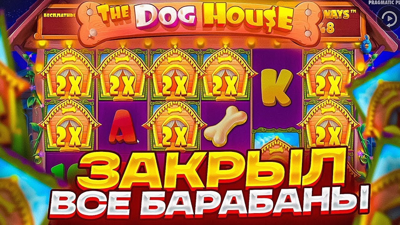 Дог хаус мегавейс dog houses info