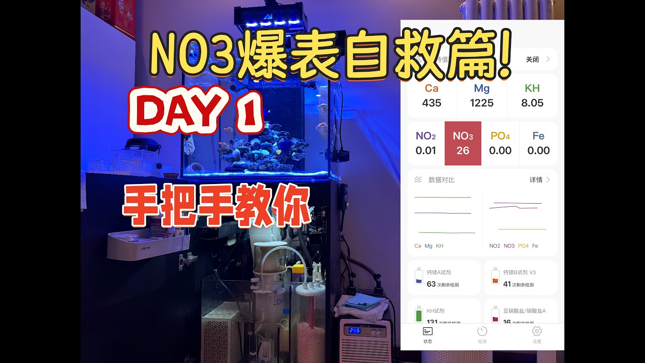 海缸NO3爆表春节自救 手把手带你处理营养盐与有机物