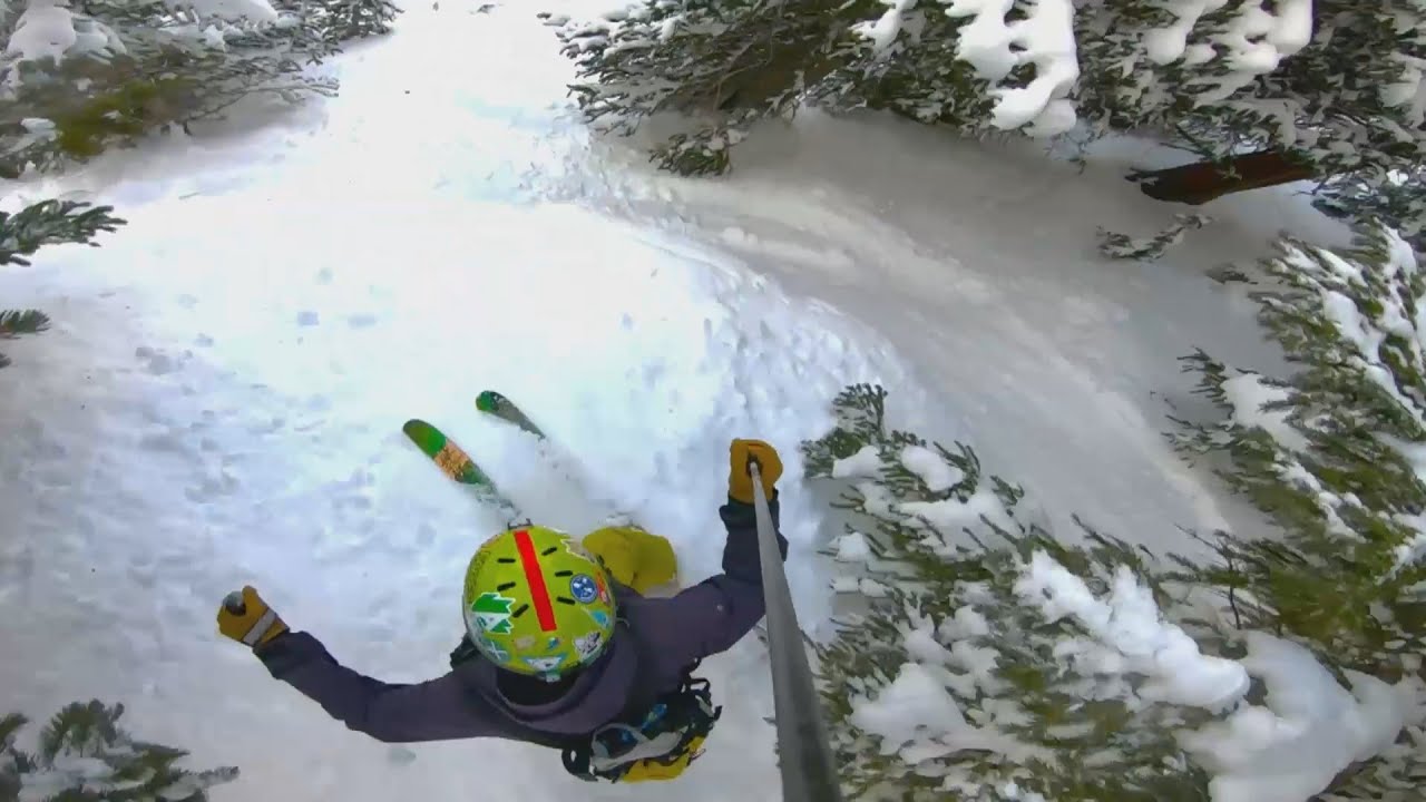 Pole Cam is back! stabilized gopro for 2020!