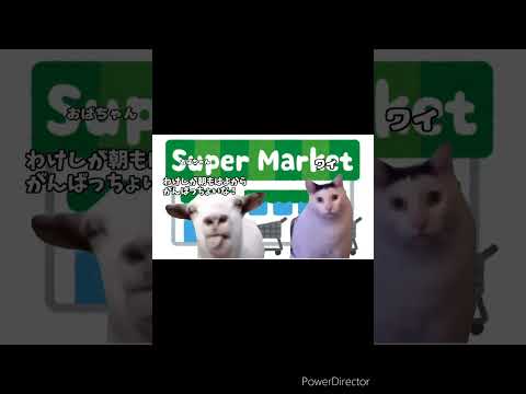 鹿児島の早朝清掃勤務でおばちゃんとの鹿児島弁会話あるある #猫ミーム #shorts #猫ニチ