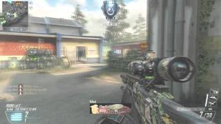 PsyQo Port | Multi-Cod Minitage #4
