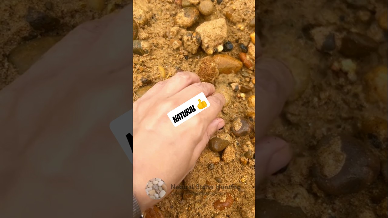 NATURAL STONE HUNTER 