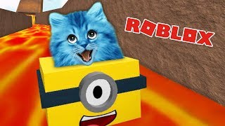 Сверхбыстрый спуск ПО РАДУГЕ в  ROBLOX Epic BoxRacing КОТЁНОК ЛАЙК играет летсплей РОБЛОКС