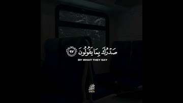 قرآن كريم بصوت القارئ هاني العزوني تلاوة مؤثر ارح قلبك 💚🌿حالة واتس إسلامية /استوري انستغرام