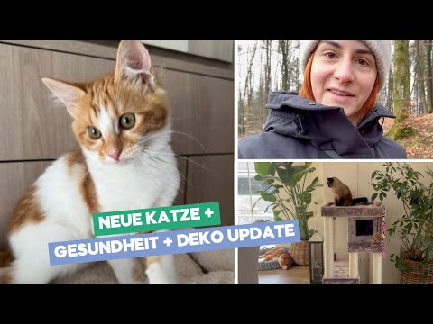 Neue Katze / Meine Gesundheit / IKEA & Deko Einkauf| Weekly Vlog 03-26