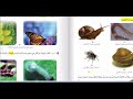دورة حياة الحيوانات اللافقرية الجزء الاول للصف الرابع الابتدائي 