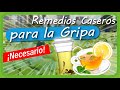 REMEDIOS CASEROS para el cuidado GRIPAL con PLANTAS AROMÁTICAS