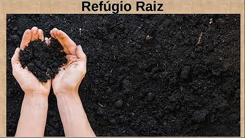O que é mineralização do N?
