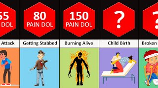 How Much Pain Can A Person Take? | Human Pain Comparison