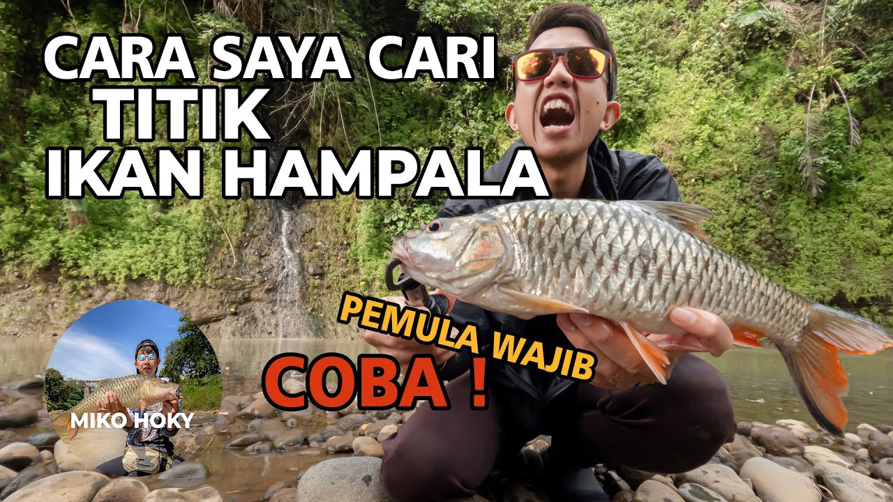 🔴 Cara Cari Titik Casting Ikan Hampala❗️Pemula Wajib Tau