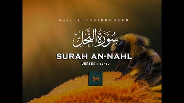 Surah An-Nahl(Ayat:65-69) تلاوة رائعة | بصوت صبي هندي | سورة النحل | SAJEEH NASIRUDHEEN |