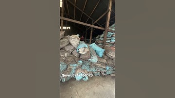 Tham quan cơ sở sản xuất than gáo dừa công suất 500tấn/tháng