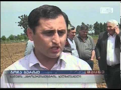 ბათუმის \"აგროსერვისცენტრმა\" გვარა-ხუცუბნის სანერგე მეურნეობა დაათვალიერა