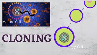 Cloning (Basics to Details: Types, How it is done, Why and much more)!