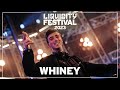 Whiney  liquicity festival 2023