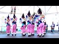風のいたずら阿波おどり「神戸楠公連」徳島夏の阿波おどり2018@アミコドーム