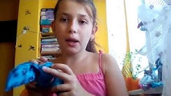 Věci co mám pro psa
