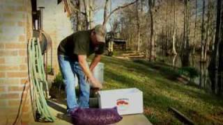 How To Cook Crawfish - Louisiana Crawfish Company