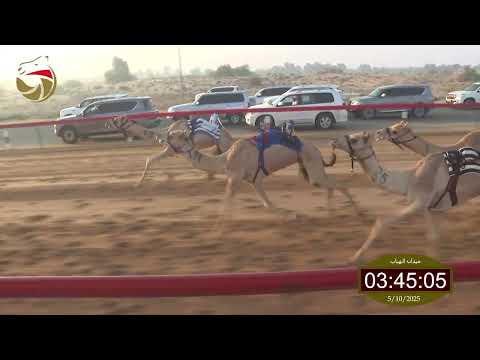 سباق الحقاقة لهباب 05 10 2025 ش4 شاهين ل أحمد محمد راشد معدن الكتبي 4 40