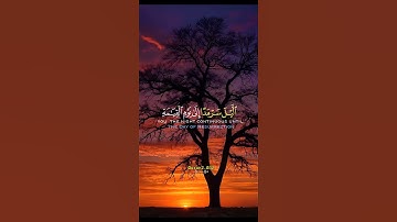 سورة القصص    #القران_الكريم #اكسبلور #quran  #islam #صباح_الخير