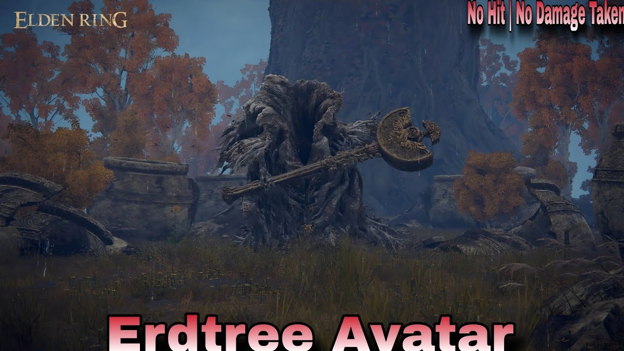 Edrtree Avatar No Hit No Damage