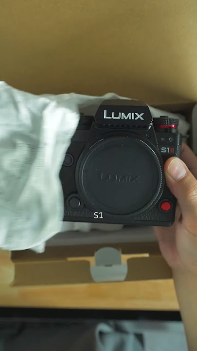 Do I Regret Switching from Sony to Lumix After 2 Months?
