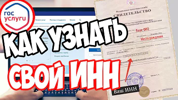 Как узнать свой филиал ФСС по ИНН