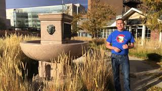 Denver’s Animal Drinking Fountain