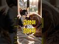 강아지 vs 고양이 장단점은?
