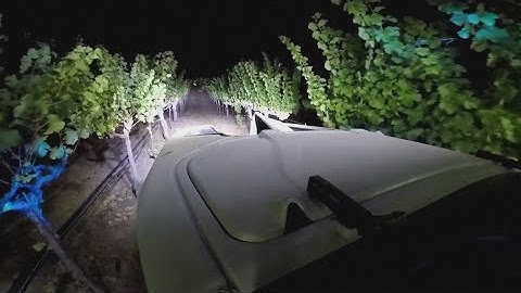 Napa vineyard using artificial intelligence to help make wine