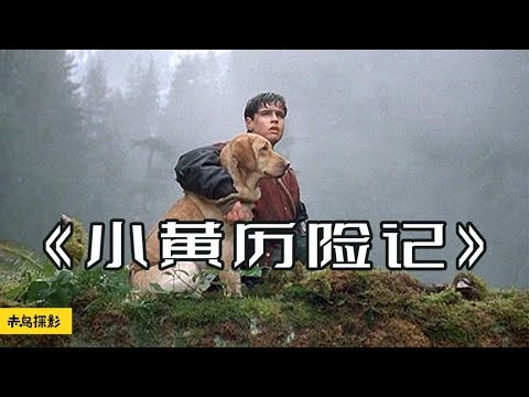 【小黄历险记】16岁少年意外遇险，狗狗陪伴他荒野求生18天『以不同的視角解讀一部電影，帶你瞭解電影更深層的含義和秘密』#電影解說#熱門電影#血腥#恐怖#驚悚懸疑#催淚#真實事件改編