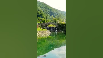 ياأيها الذين آمنوا توبوا إلى الله🤍قرآن كريم بصوت جميل وخاشع#راحة نفسية تركيا#صبنجا#خضار#قرآن#تصويري#