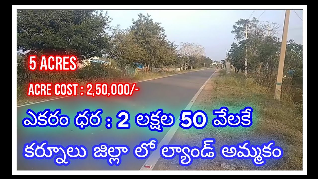5 Acres agriculture land for sale Kurnool district 2,50,000/ Acre
