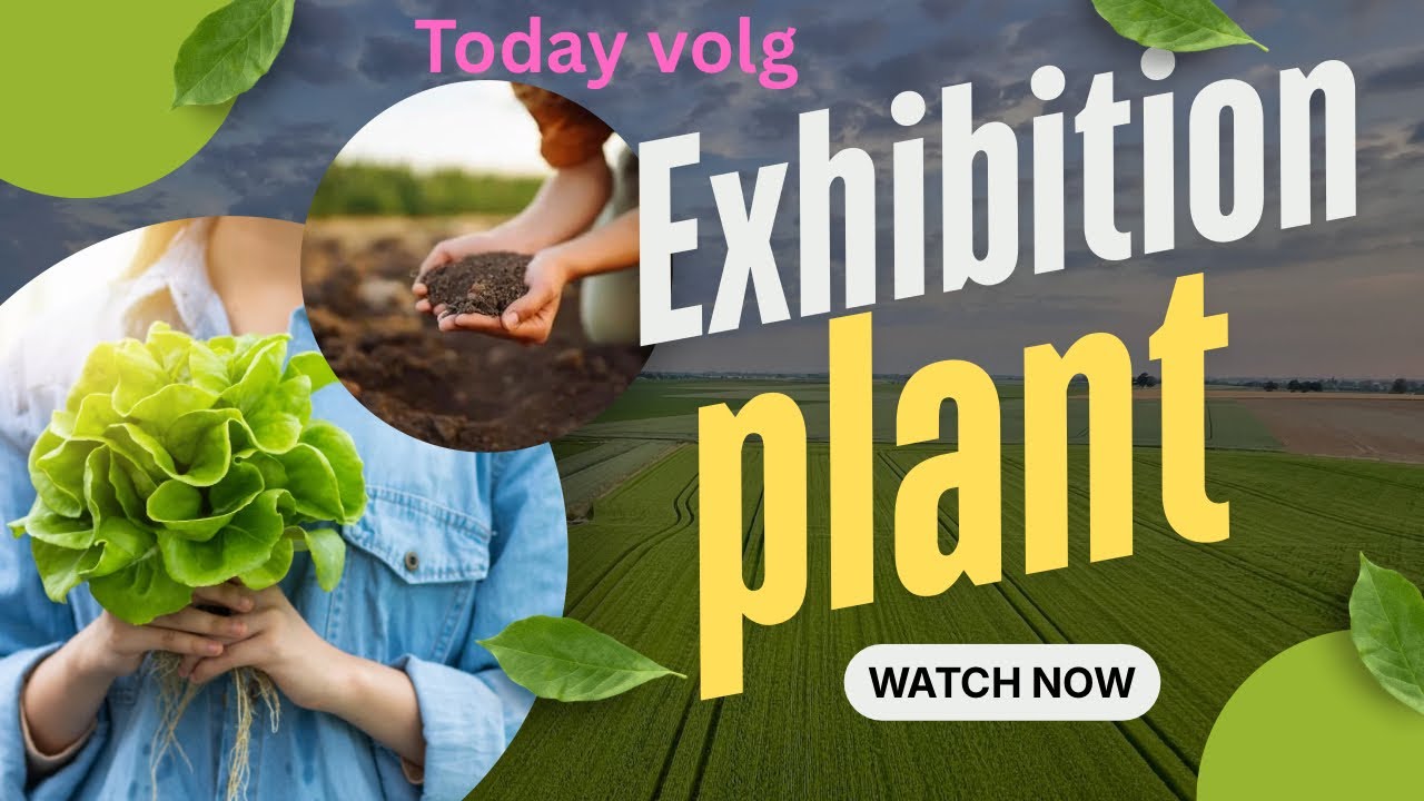 Karachi Exhibition plant 🥬🥬🥬🍋🍇🍇￼￼ nursery Exhibition ￼ plant flower season flower indoor