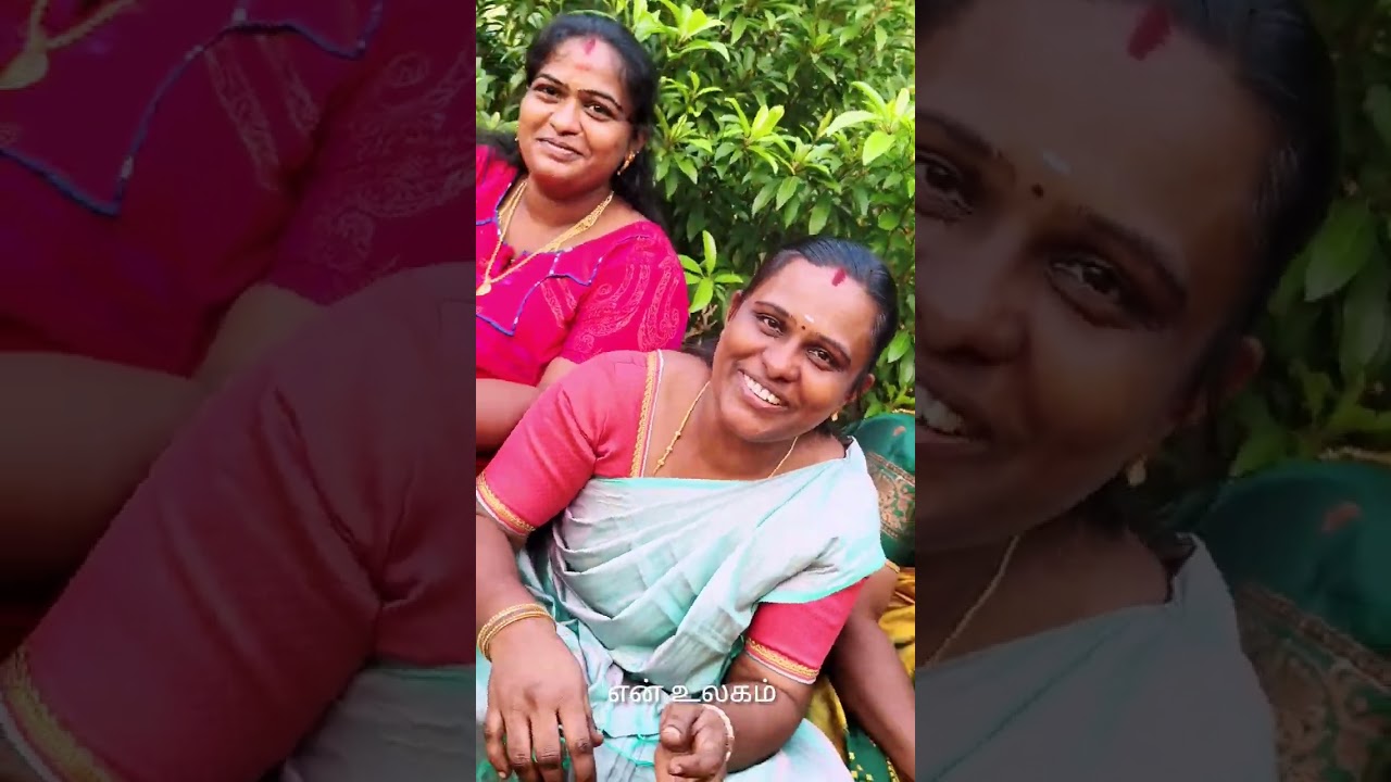 மாட்டு பொங்கல் மற்றும் பிறந்த நாள் கொண்டாட்டம்/vlog video/என் உலகம்