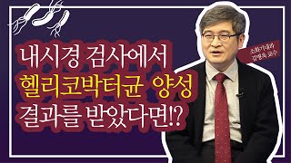 내시경 검사 결과 '헬리코박터균 양성' 받았습니다. 어떻게 해야하나요? [인천성모병원 10분하와유] 소화기내과 김병욱 교수