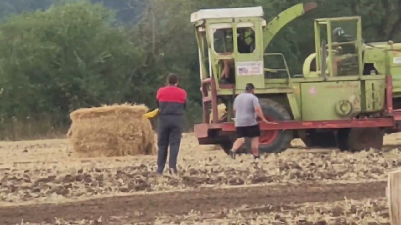 COMBINE HARVESTER RACING AT CHANNAY SUR LATHAN August 2022 YouTube