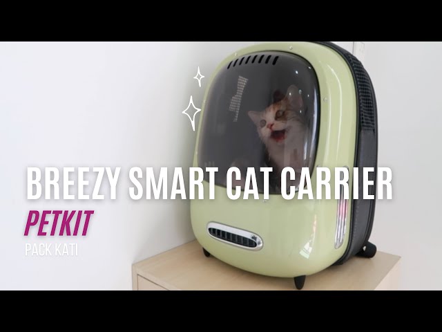 PETKIT BREEZY SMART CAT CARRIER | Unboxing with the Cat - YouTube
