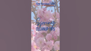 Spring Cleanup Tips: Tidy Up Fast!